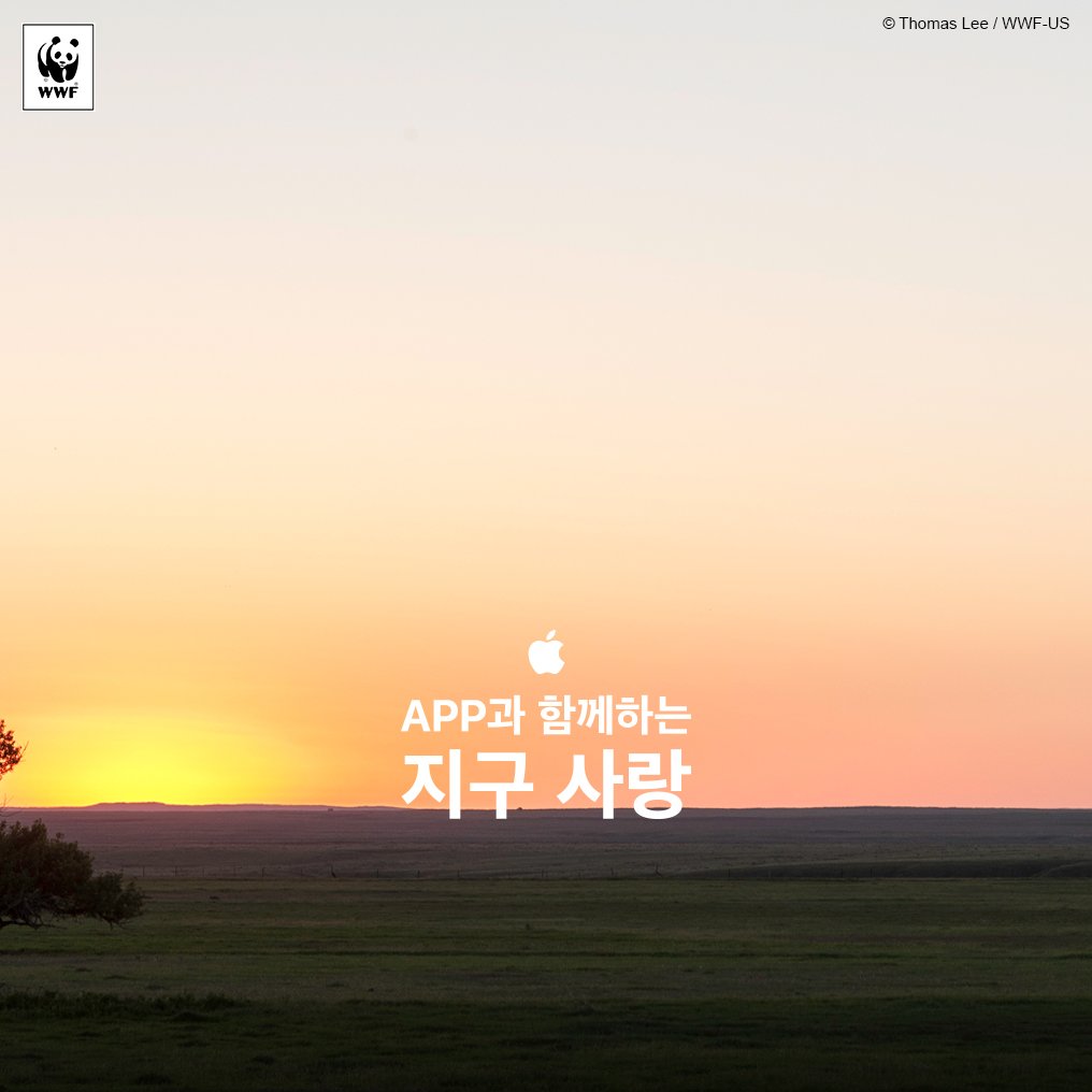 tylerrasch's tweet image. 엇 애플 사용자분들 저 대신 참여해 주세요ㅋㅋㅋ @WWFKorea+애플이 #지구사랑 캠페인 하는데 4/24까지 애플 앱 구매금액 100%가 환경보전사업에 사용돼요! panda.as/appsforearth