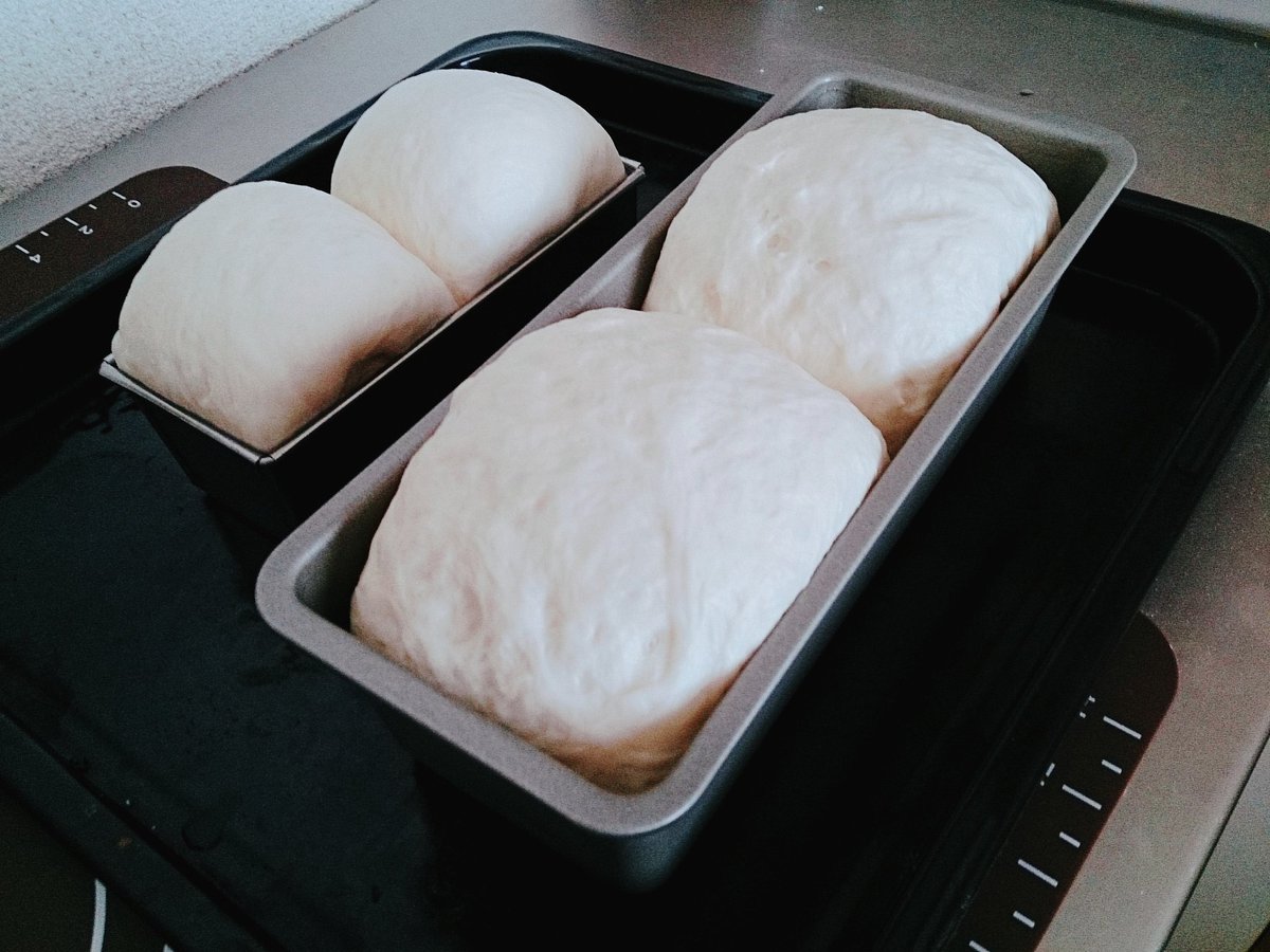 はるこ ᴗ 写真で見るよりは実際焦げてないんだけど ちょっと焼き色つきすぎちゃったwwwまぁいいかアイツへの差し入れだしwww パン作り 手ごねパン 手作りパン ソイオイル 食パン はるこ ᴗ 写真で見るよりは実際焦げてないんだけど ちょっと焼き色つきすぎちゃったwwwまぁいいかアイツへの差し入れだしwww パン作り 手ごねパン 手作りパン ソイオイル 食パン
