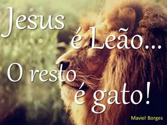 VTmara's tweet image. Leão da tribo de Judá!