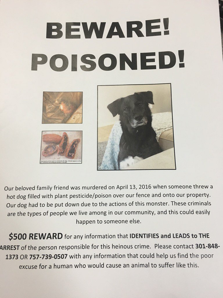 tvbrandi's tweet image. Dogs are being poisoned to death in #ChulaVista!! Pls repost and spread the word!! Three dogs have died so far.