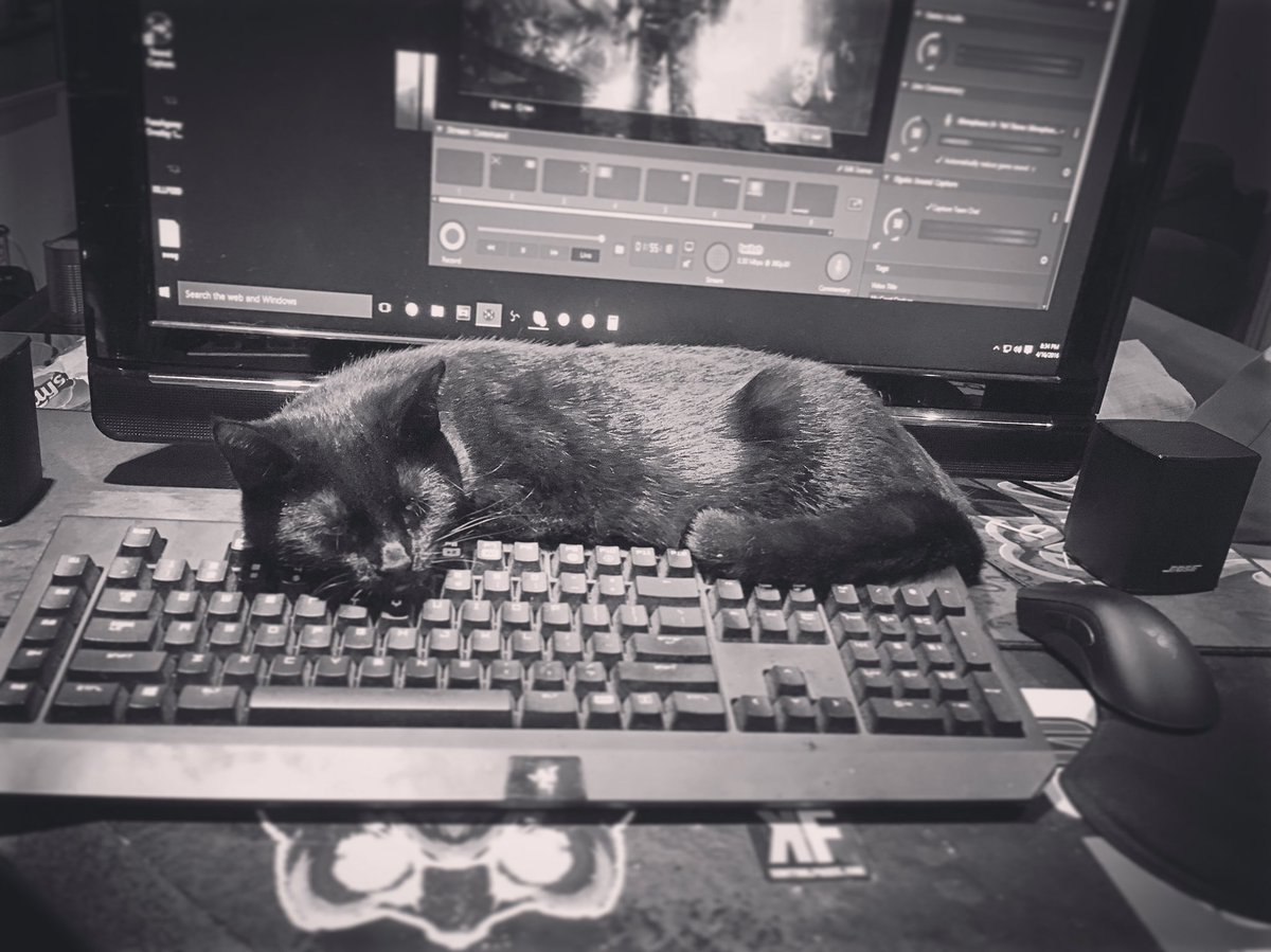 Agony's tweet image. So cute D;