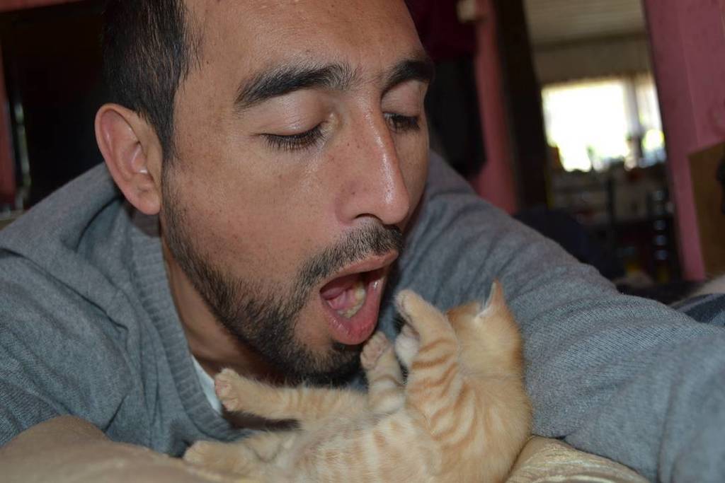 YuridiaVvallejo's tweet photo. #gatos #gatito #gatotemuco #temucopets #guapos #rubioymoreno #bearded #chilebeard #nikonphotographer #nikon #nikont… https://t.co/Ktt8XC5v9p