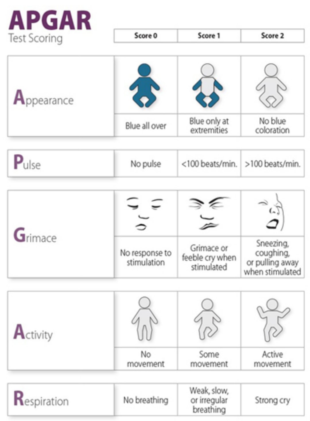 Describe the apgar scale and its meaning picture