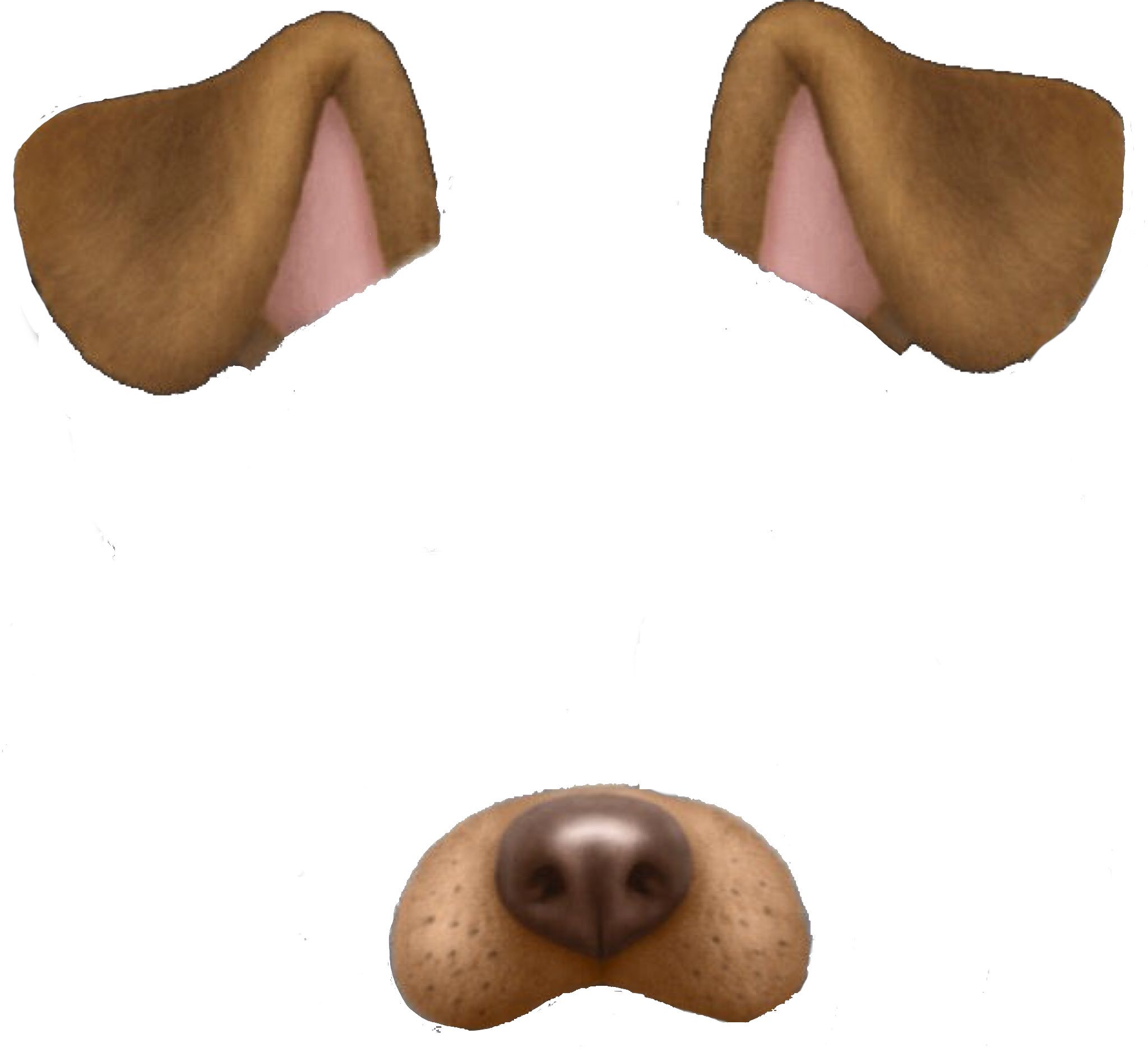 Собачьи ушки