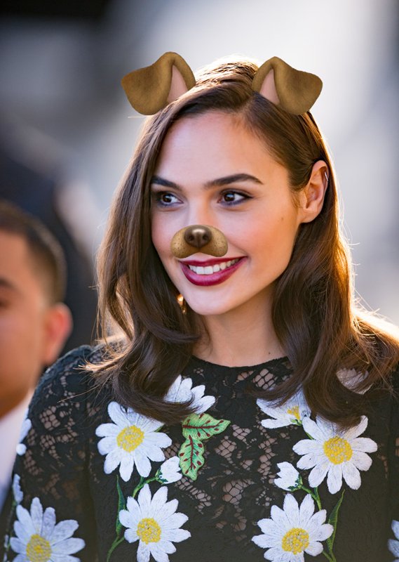 dceupuppy's tweet image. 