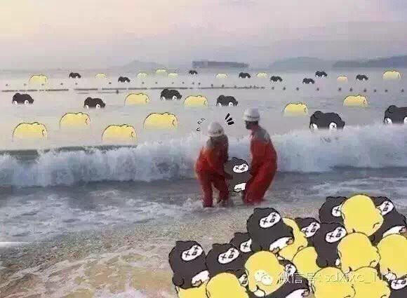 melodyjian's tweet photo. “友谊的小船说翻就翻”几天内成为中国大陆网络用到烂俗之词，工人打捞小鸡们都来不及 https://t.co/Khj2UfNpLO