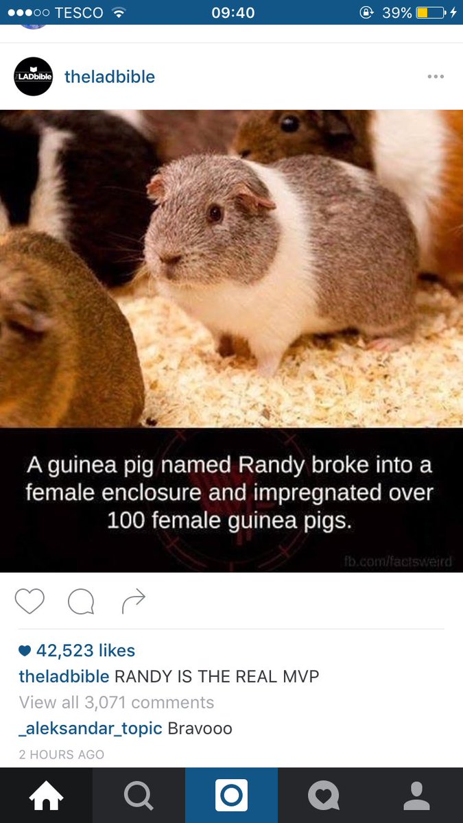 bexharding_'s tweet photo. Why am I still seeing this on the Internet๐๐๐ฉ #HeDeadNow https://t.co/Jd07zgSmtz