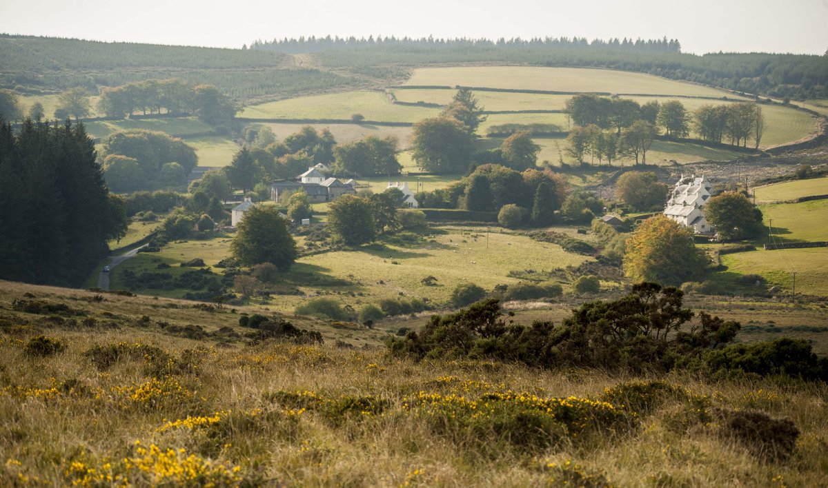 ForestryEngland's tweet photo. Enter your spring forest photos to win £50 voucher using #WakeUpToSpring on @instagram: https://t.co/9Cri8kAlet https://t.co/vpSdKv0fMx