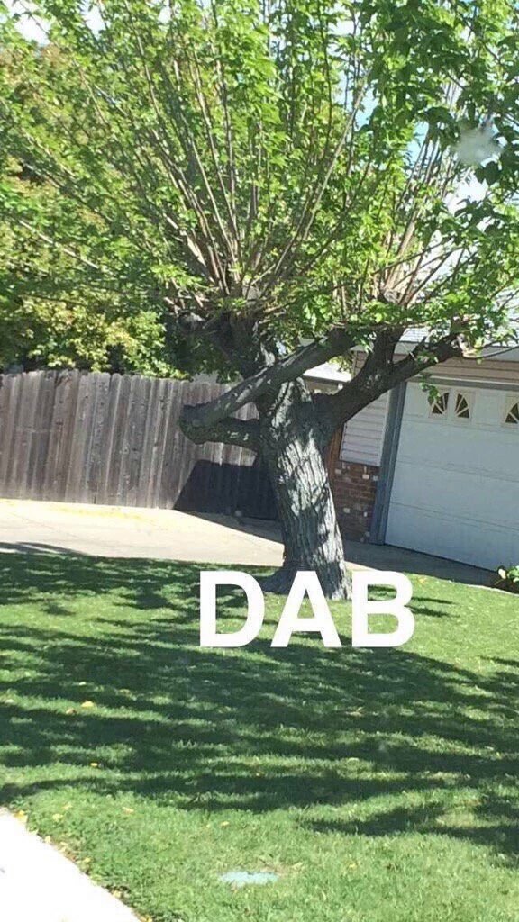 DareTrent's tweet image. Getting off twitter for tonight this just ....Ya gn