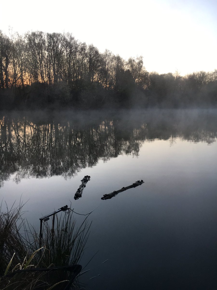 GirlvCarp's tweet photo. That was an eventful night 😀👍#carp #carpfishing #teamwychwood #wychwoodcarp #rigmarole #carpparticles https://t.co/oj132YuYJO