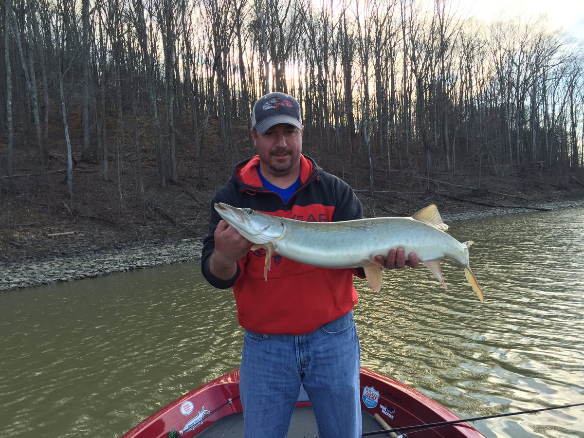 GBMusky's tweet photo. Spring Break Kentucky Musky @StCroixRods @Abu_Garcia #caverun #fullyinvolvedmuskyadventures #bestrodsonearth https://t.co/itkMtj9YFg