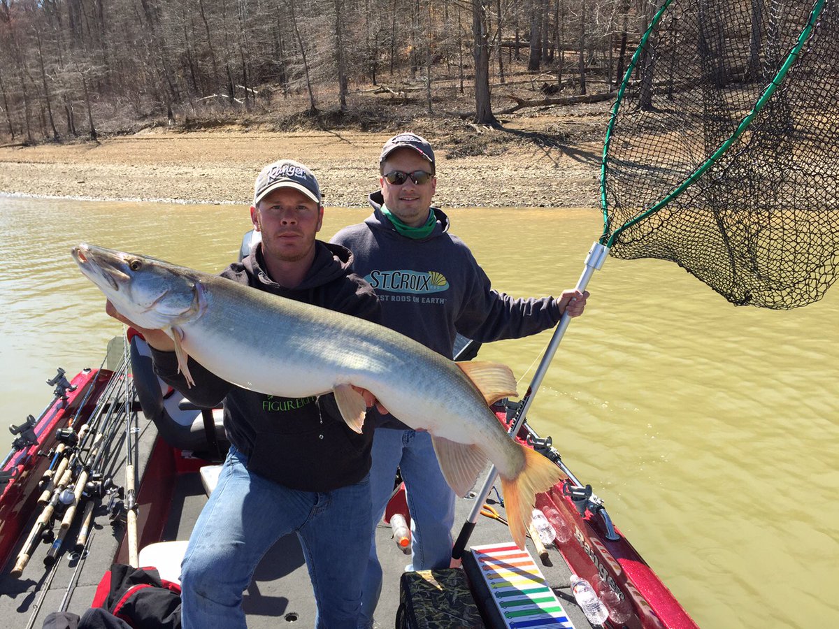 GBMusky's tweet photo. Spring Break Kentucky Musky @StCroixRods @Abu_Garcia #caverun #fullyinvolvedmuskyadventures #bestrodsonearth https://t.co/itkMtj9YFg