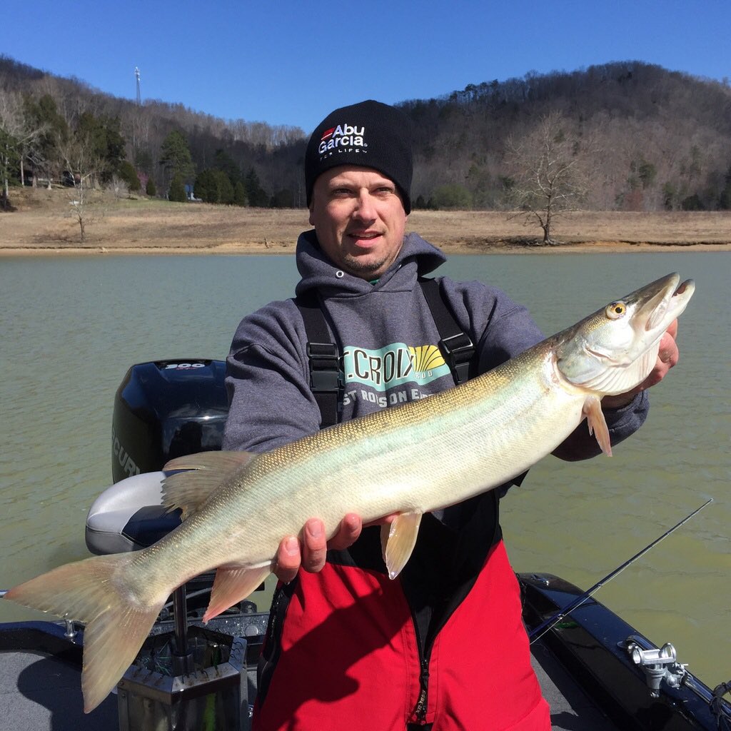 GBMusky's tweet photo. Spring Break Kentucky Musky @StCroixRods @Abu_Garcia #caverun #fullyinvolvedmuskyadventures #bestrodsonearth https://t.co/itkMtj9YFg