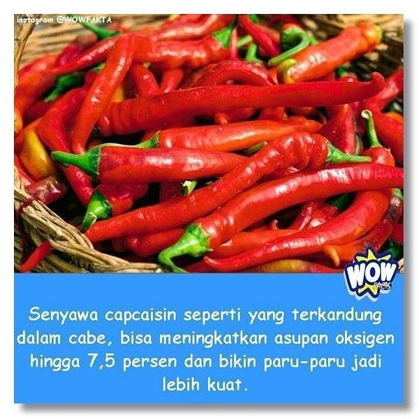 ift.tt/1Qf9zkX [#wowfakta] Faktagram hari ini #fakta #faktanya #mostpopular