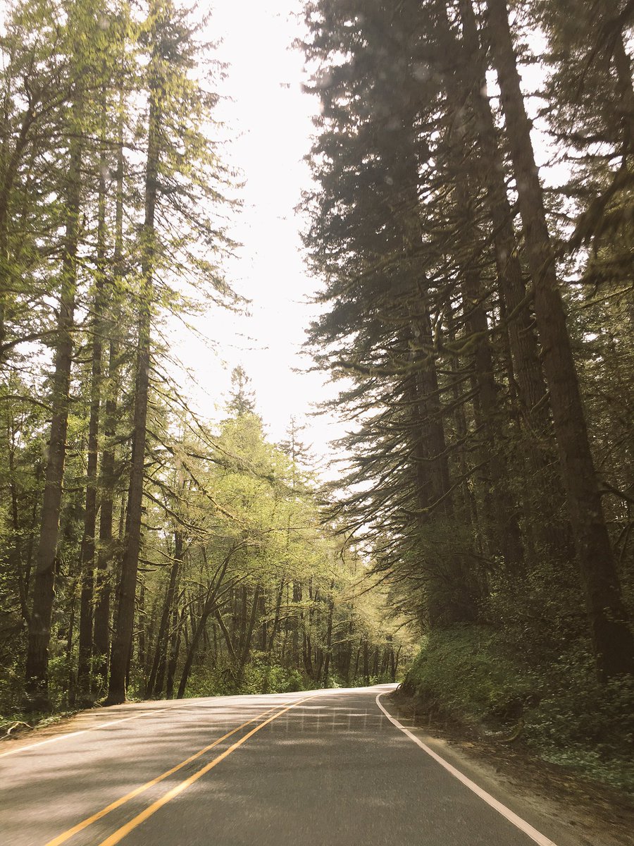 PedroQTV's tweet photo. And so..the adventure begins! #OutdoorOregon #Coast #WxOR https://t.co/AsbYU9JNMw