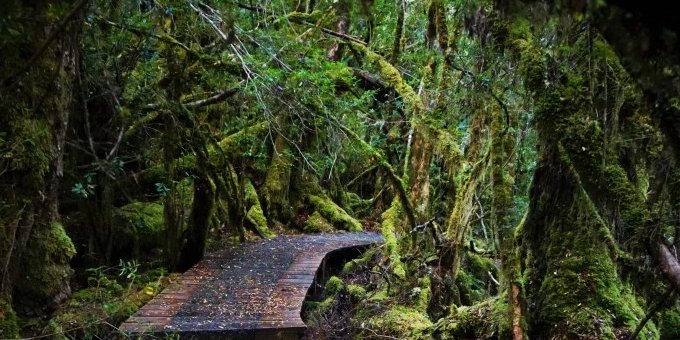 tasmania's tweet photo. 18 reasons why you should visit #Tassie right now! https://t.co/2AQiUNazgY via @flatearthmag #discovertasmania https://t.co/LOrUpvCayF
