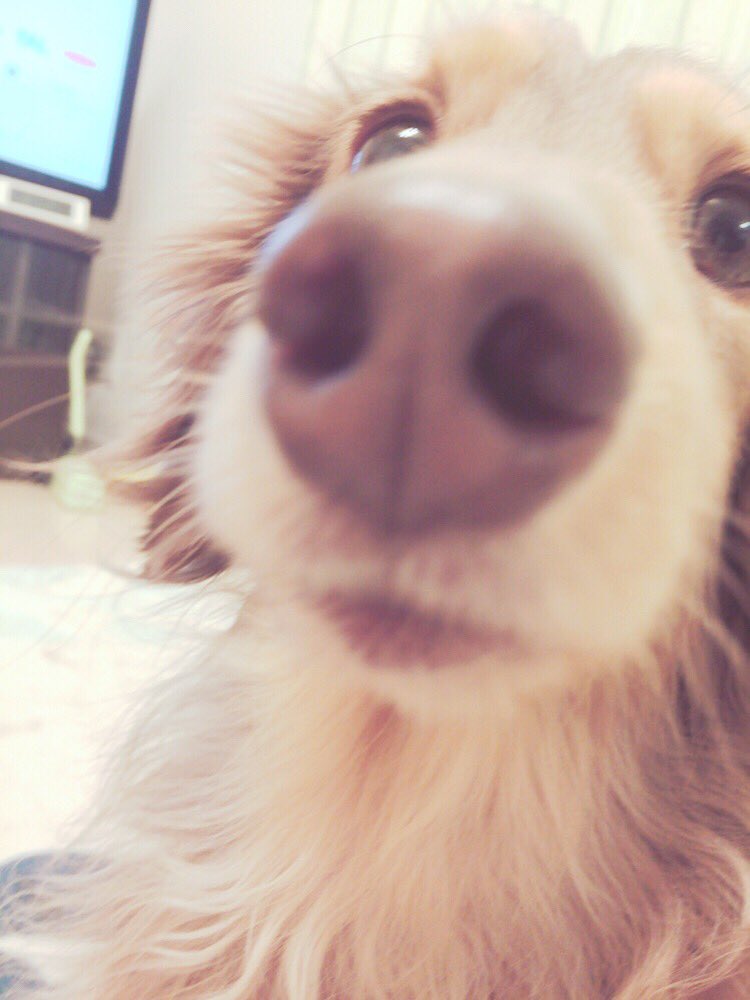 Itsukuru525's tweet photo. ぶっさかっわ https://t.co/kIA2B6Bo7c
