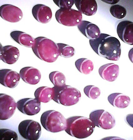 tusubiraabraham's tweet photo. Description: Star rubies, Origin; Madagascar, Cut and polished in Bangkok, Price £.55 @ carat. 100 carats in stock. https://t.co/FwA3njt2ic