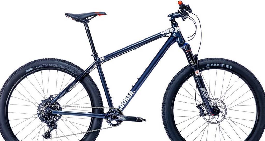 weBikepacking's tweet photo. chargebikesnl / Charge Bikes Cooker 4! #27plus #650bplus #plussize #fatbike #fattire #mountainbike #trail #singletr… https://t.co/aY1Qy3Mwwu