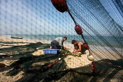 Stefaniafodd's tweet photo. The sacrifice of their work is nothing compared to the terror inflicted on them by Israeli forces#Gaza
#Enough_Siege https://t.co/OYe3L37NCb