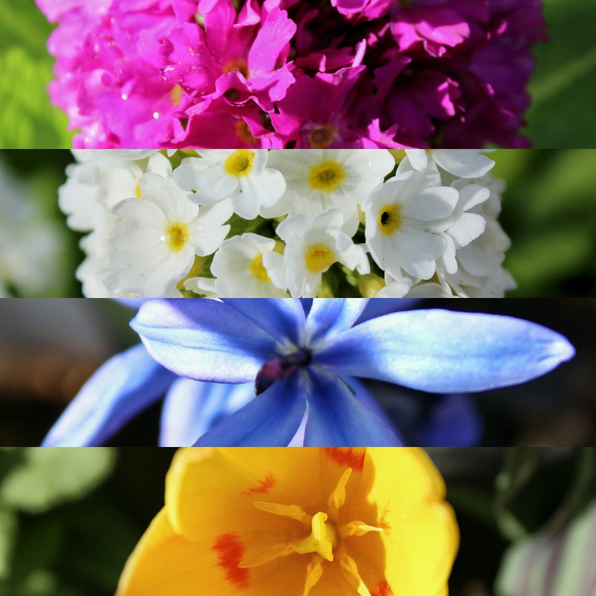 Redisham Hall (@redishamhall) on Twitter photo 