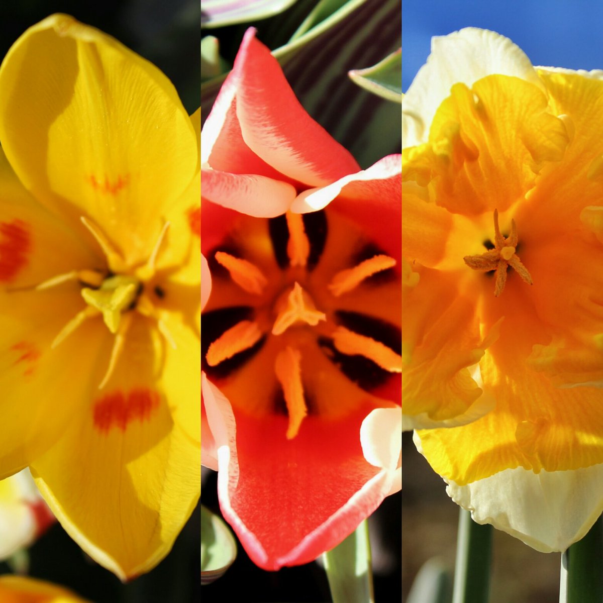 Redisham Hall (@redishamhall) on Twitter photo 