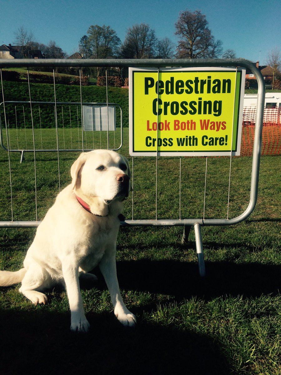 BerkhamstedTri's tweet photo. We've got every man and his dog here today supporting and marshalling!!! https://t.co/3kocjntWAG