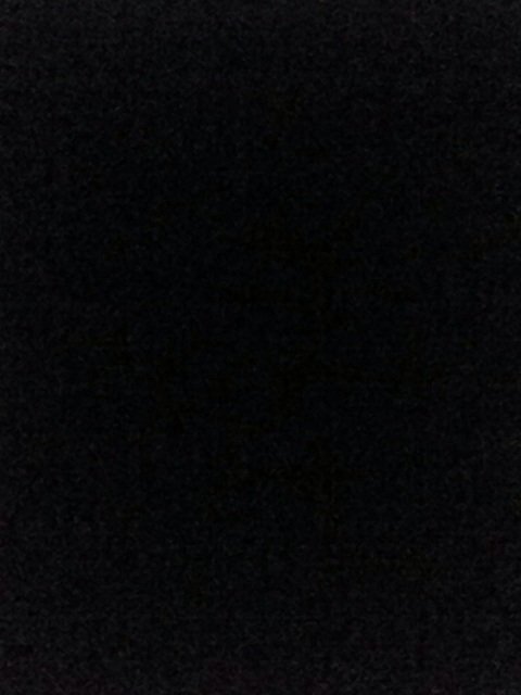 Shiica moody tweet media