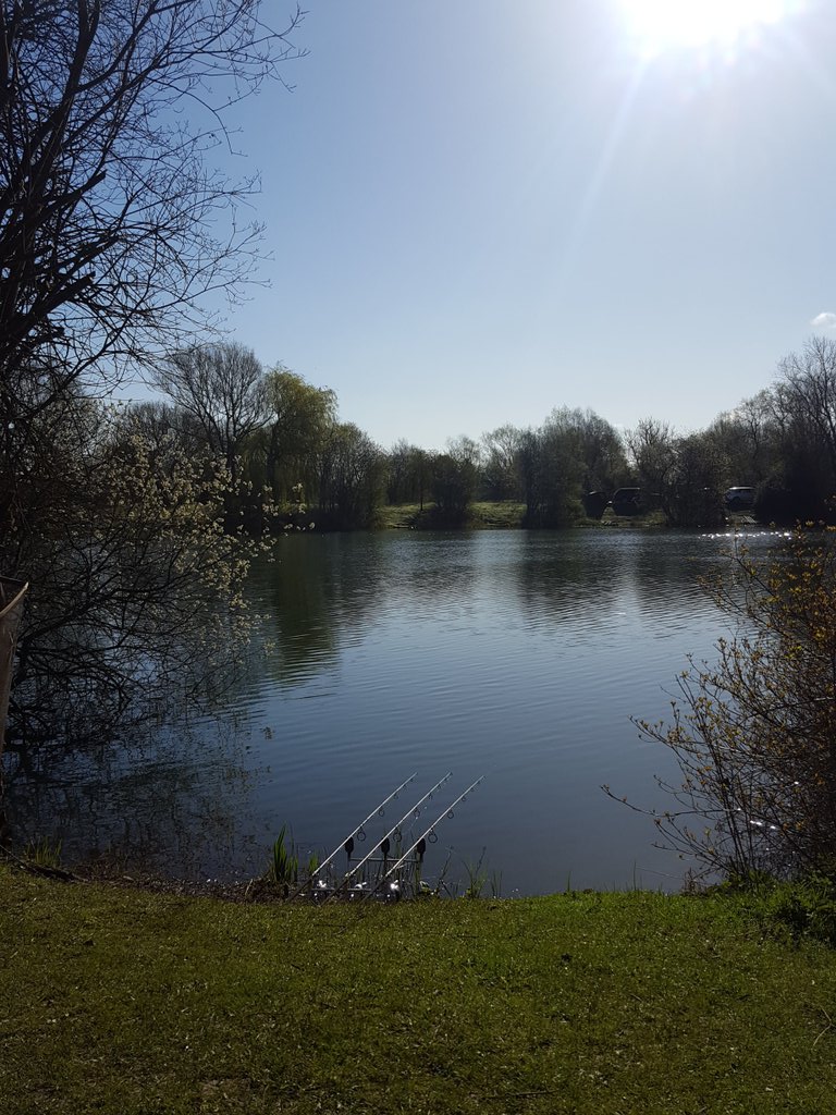 Who's out fishing on this nice morning