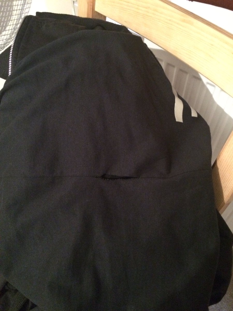 yael steinitz tweet media