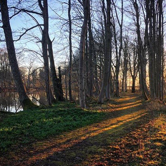 BestOfOurShire's tweet photo. The sun is finally making an appearance :) A great place for a walk - Pitfour Estate by @ejsum85 on instagram . https://t.co/KJJKO1I1iW