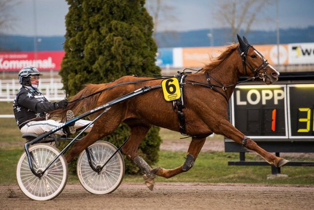 Fin treåring. Vann lätt i går på Romme