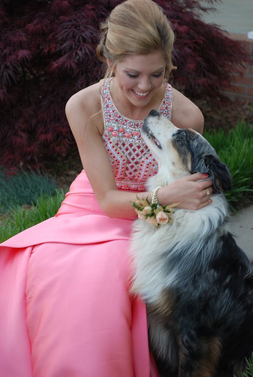 ReppMorgan's tweet photo. Prom was lovely💓 https://t.co/5AZB58Upbp