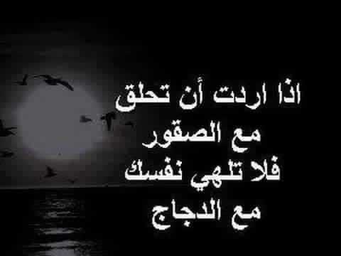 dxb_alsayed's tweet photo. #حكم #درر #الامارات_تقرأ #سيتي_ووك_دبي #دبي #اضراب_القطاع_النفطي https://t.co/MbVbXoH7R2
