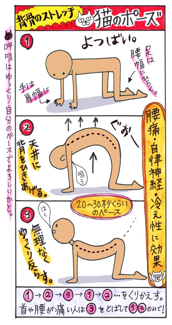 猫ねじりのポーズが色々取り上げられているので追記。「猫のポーズ」の後にやるとより背中がほぐれて気持ちいいです!
・猫のポーズ→https://t.co/K3uRGhvLjo
・猫ねじり→https://t.co/jFbwcYquFZ