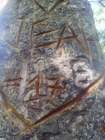 alpha_misute's tweet image. happy 2nd friendsarry..JEAH.
#FORever17🎈🎈