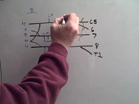 Dr Peter Isaacs tweet media