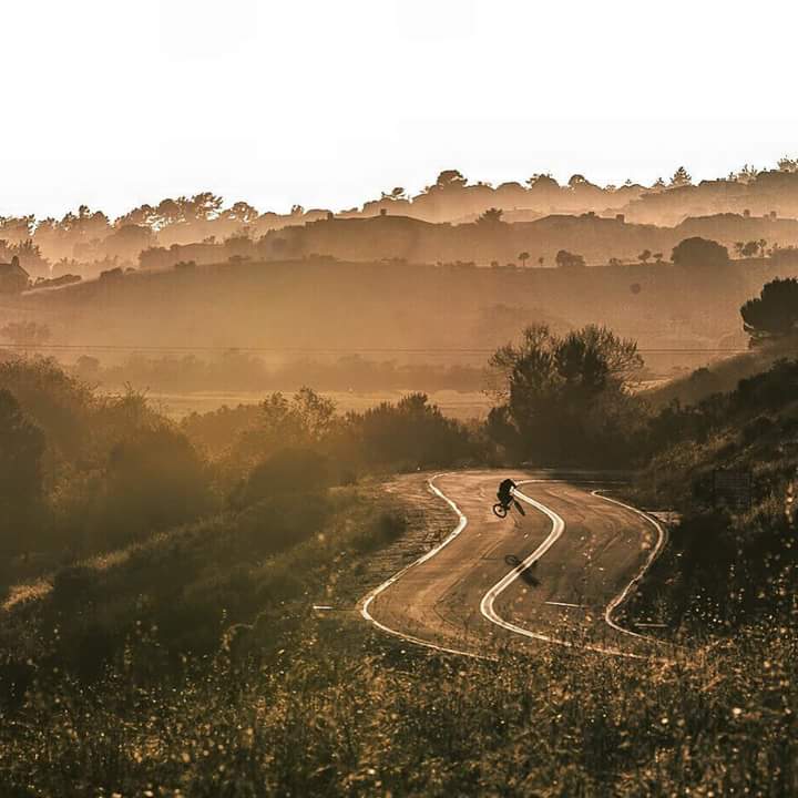 CoBikeStore's tweet image. 