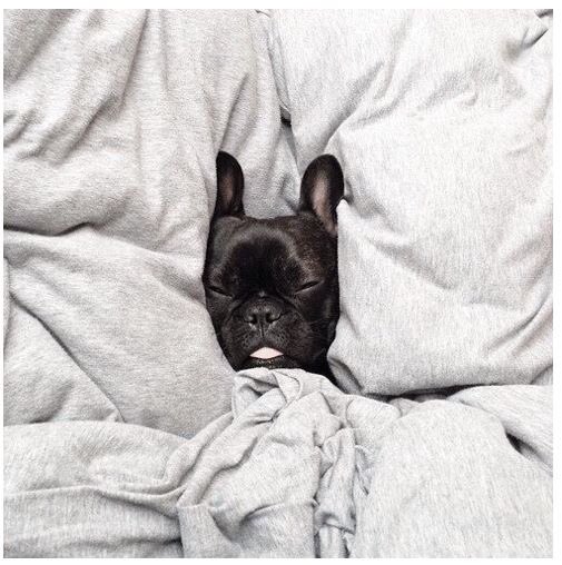 TheLeggingCo's tweet photo. Cosy Sunday morning and this is how we feel when you're in one of our #leggings #cosy #snug #Sunday #cute https://t.co/BG2ohaPJH8