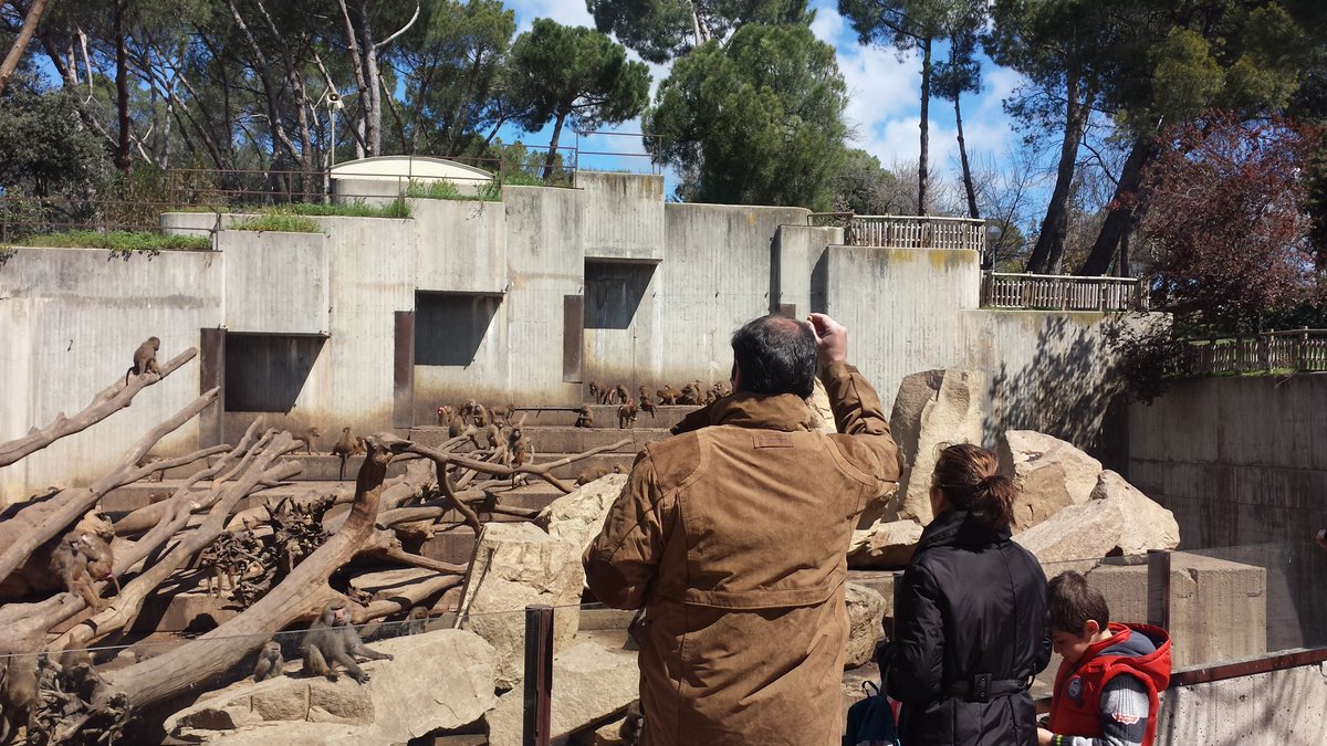 BorjaVivo_'s tweet photo. Ojalá esta imagen dando comida humana a los animales en el @zoomadrid dejara de darse. Ojalá se tomarán +medidas https://t.co/ABlCr5Yr82