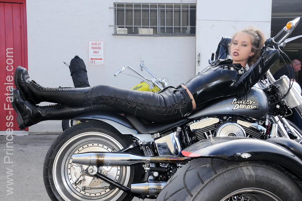 mightybadger3's tweet photo. #princessfatale https://t.co/vMB72ZBEHL
