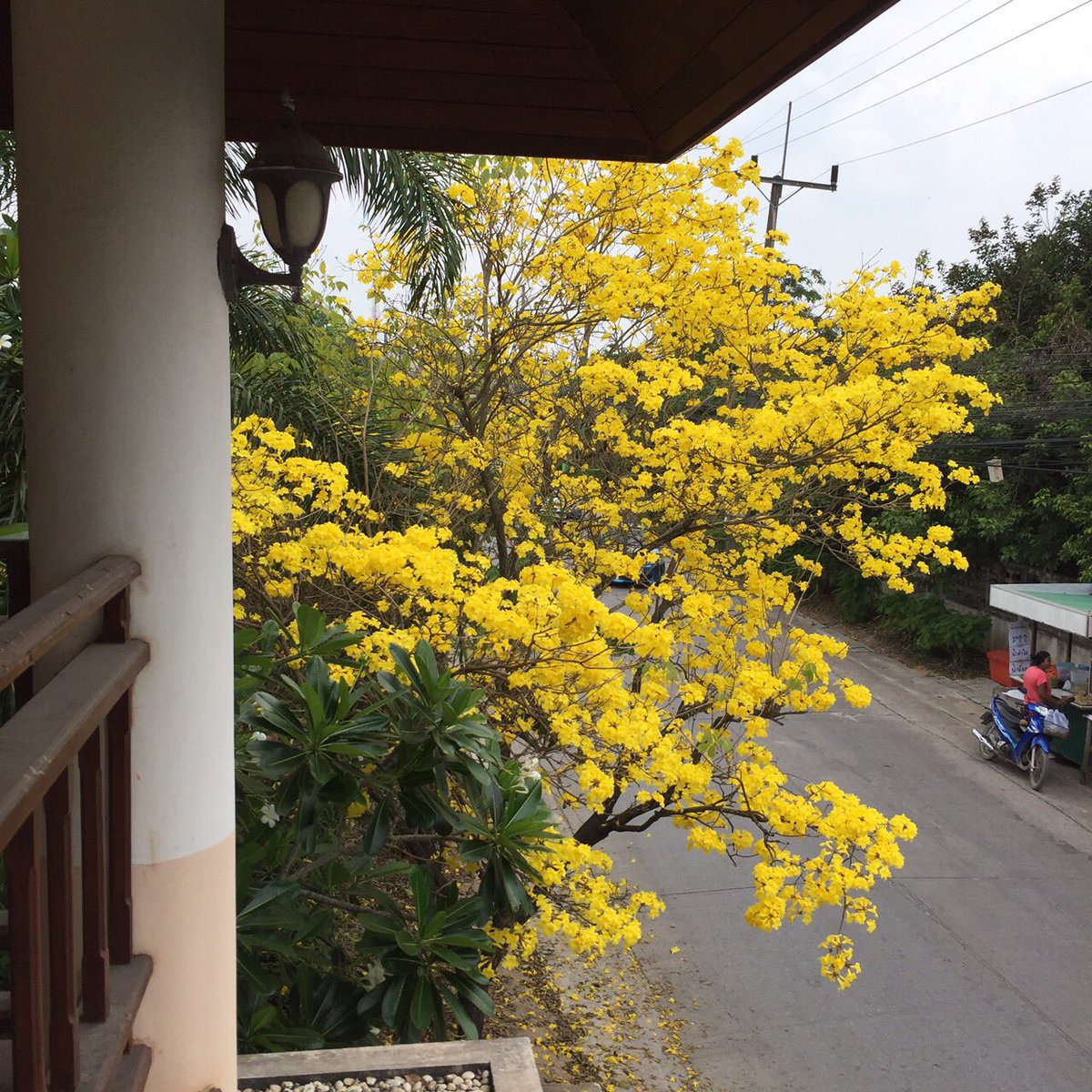 dd1809 tweet picture