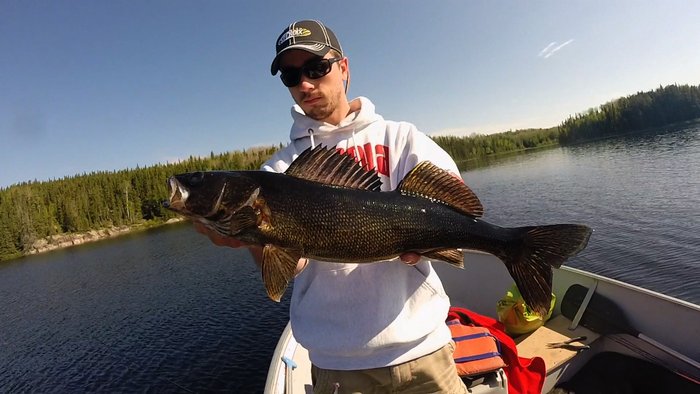 OUTDChannel's tweet photo. Learn which Lures produce big-time results on these Ontario #Walleye! #FishingEdge 9aET | https://t.co/MIaoglgBRZ https://t.co/08cgzkRdlF