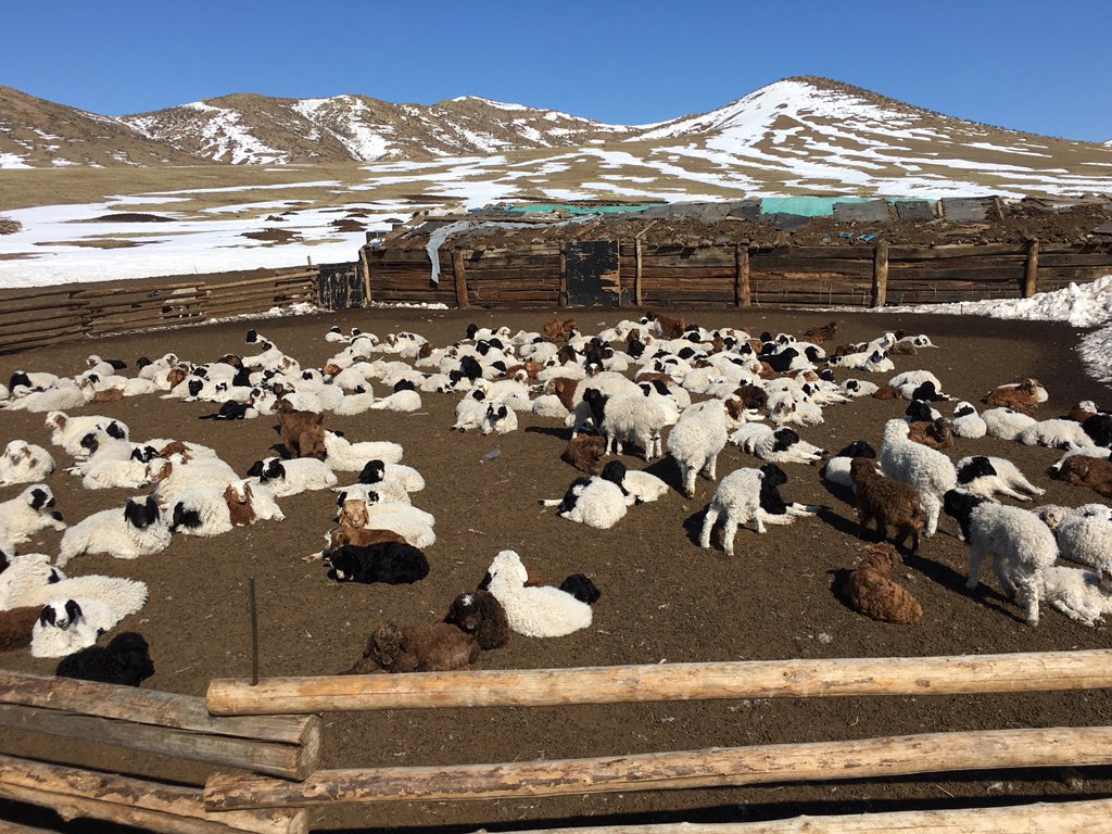 Амарсайхан_Д (@dugeramarsaihan) on Twitter photo 