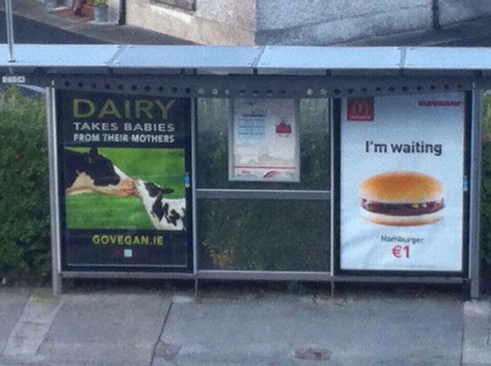 Jack_O_M's tweet photo. Poor ad placement #BadInfoDesignUCD https://t.co/11tJ71URT1