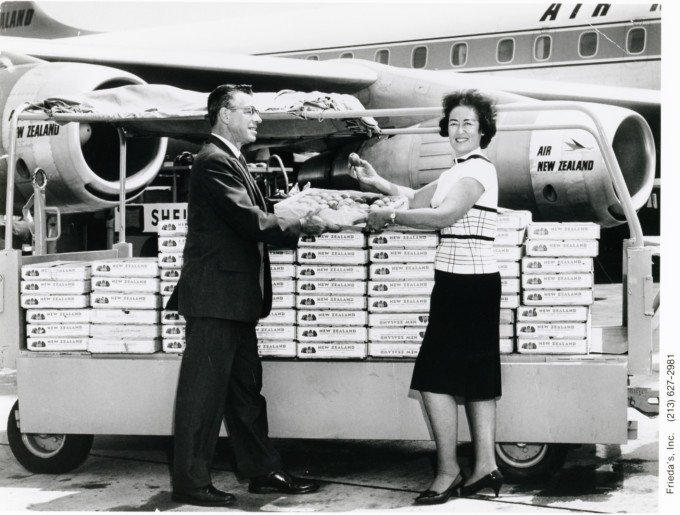 CivilEats's tweet photo. How One Woman Changed the Supermarket Produce Section Forever https://t.co/eUCMEYthuW https://t.co/X3P3kCOV6h