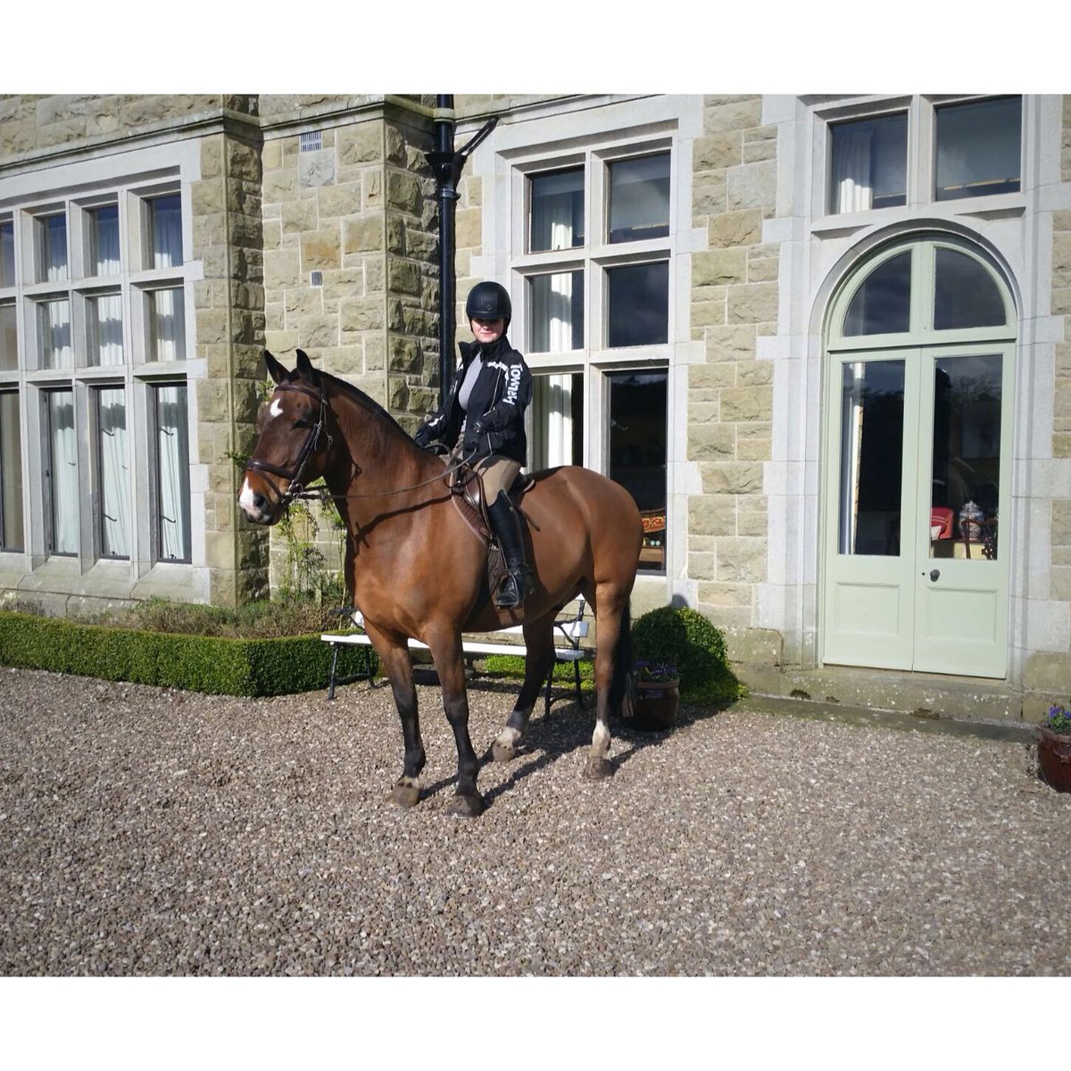 Blessingbourne's tweet photo. Toyboy posing #Blessingbourne #countryestate loving all the attention https://t.co/Vlgj3H2sY9