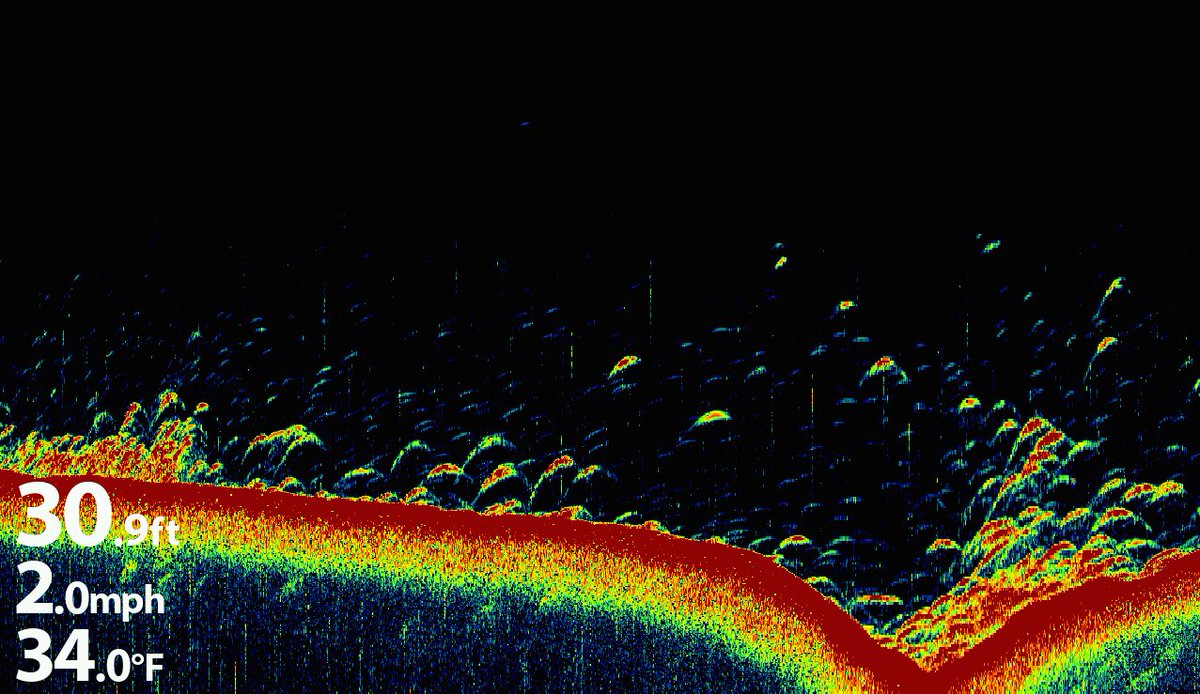 HELIX 9-10 owners have new software in their MyHumminbird account. This version, 1.210, enables SmartStrike. Enjoy!