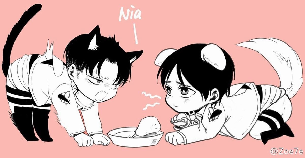 Pet fight!