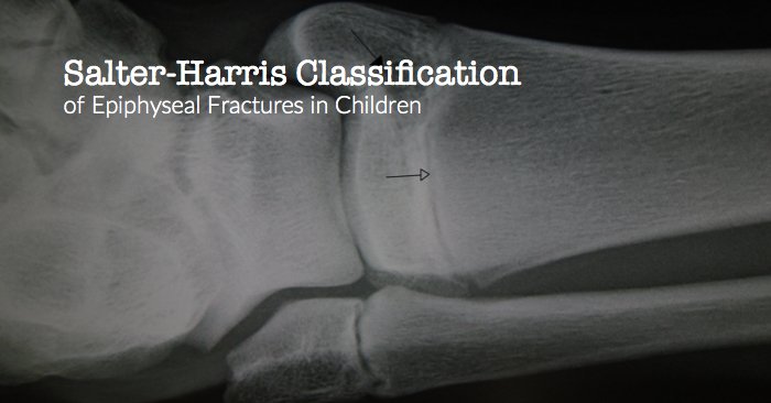 Meducation tweet media